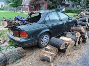 A nearby car was destroyed by the falling tree. Credit: Matt Skoufalos.