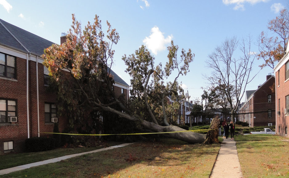 Wayne Gardens Apartments Archives NJ PEN