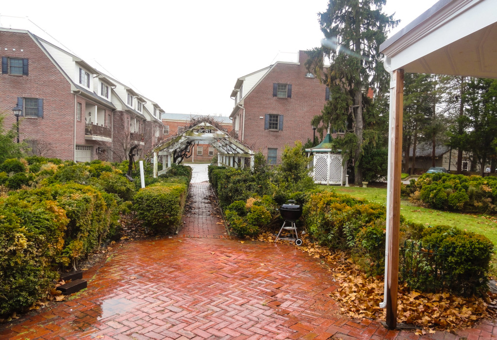 The rear patio of Kings Hall will be a showcase for landscape architects in residence. Credit: Matt Skoufalos.