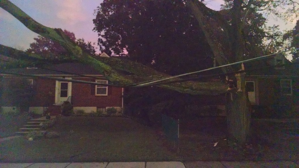 Downed tree in Haddon Twp. Credit: Matt Skoufalos.