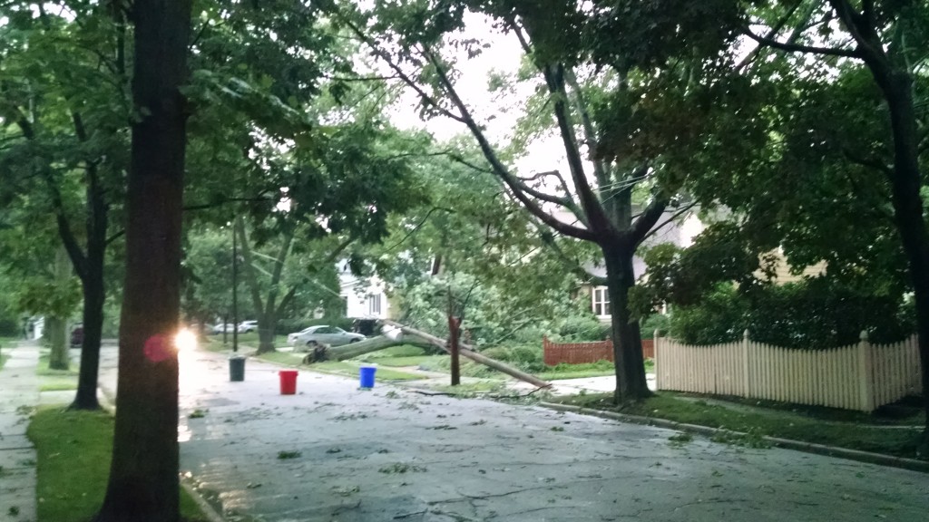 Haddonfield power lines. Credit: Matt Skoufalos.