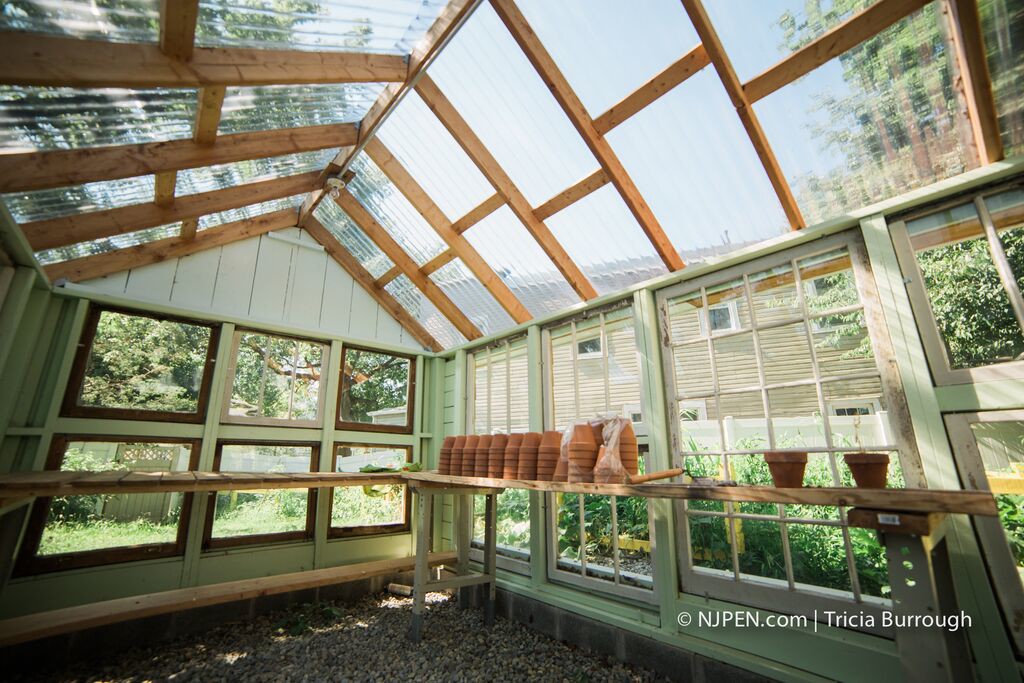 Interior, Faulseit's greenhouse. Credit: Tricia Burrough.