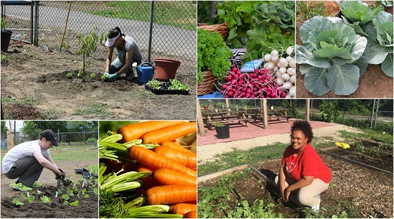 Community Garden Planting Day at The Neighborhood Center