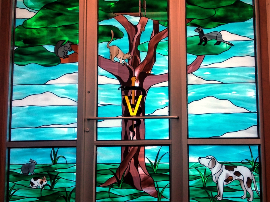 Collingswood Vet Stained Glass Door