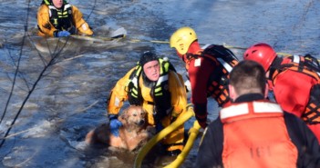 Collingswood Firefighters Rescue Dog from Cooper River