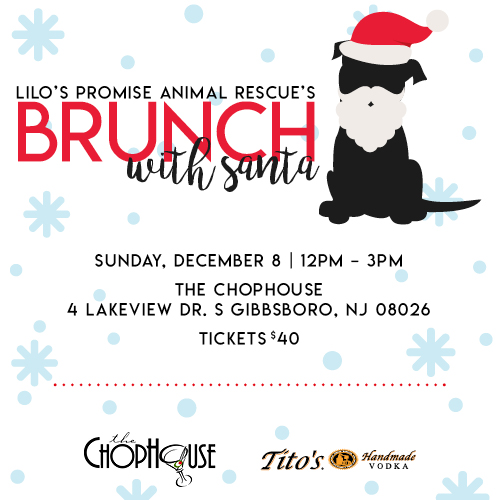 Lilo’s Promise Animal Rescue’s Brunch with Santa