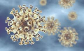 16th International Conference Virology, Emerging Diseases & vaccines