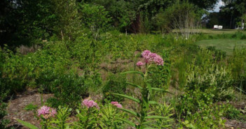Multi-Town Study Seeks to Understand Shared Stormwater, Flooding Issues
